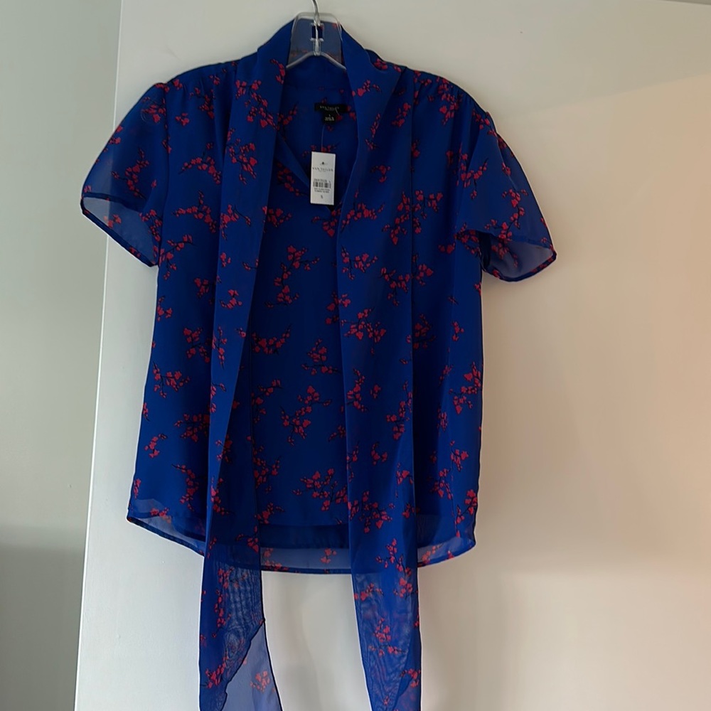 ANN TAYLOR NEVER WORN SHEER BLOUSE LINED SZ SM